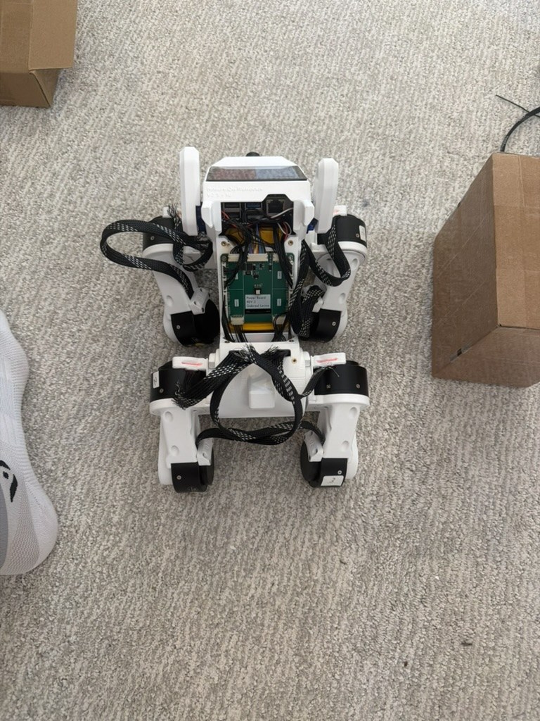 Assembled Pupper body viewed from above