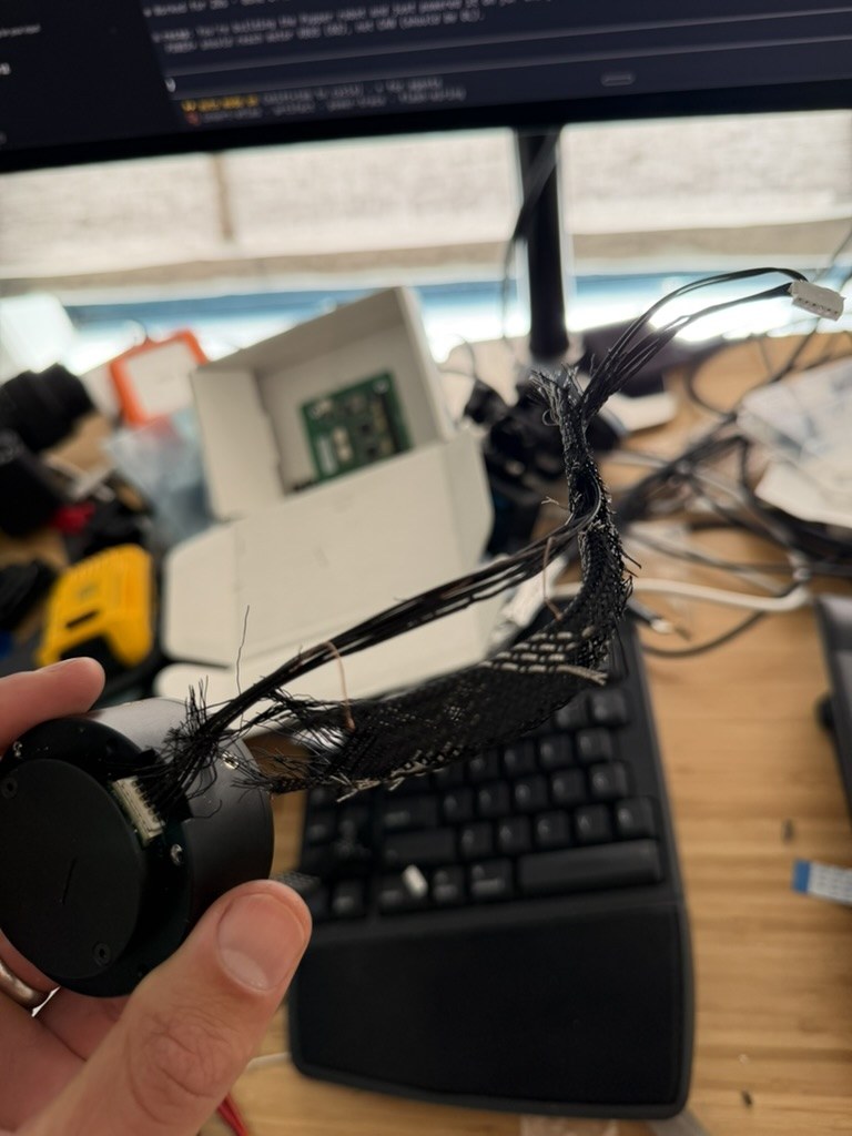 Front-left hip actuator harness showing the shorted wire after first power-up