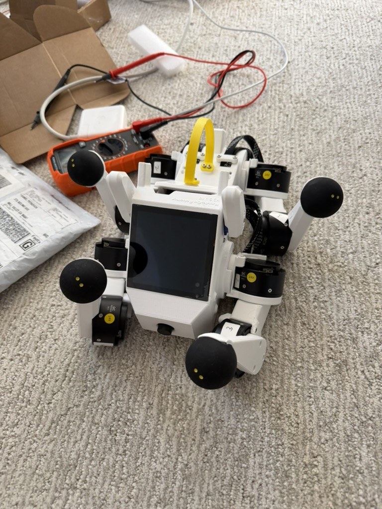 Assembled Pupper on carpet during testing